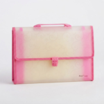 6018 (FC) Exp Bag Bili File - Image 2